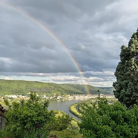 Vue Sur Le Rhone
